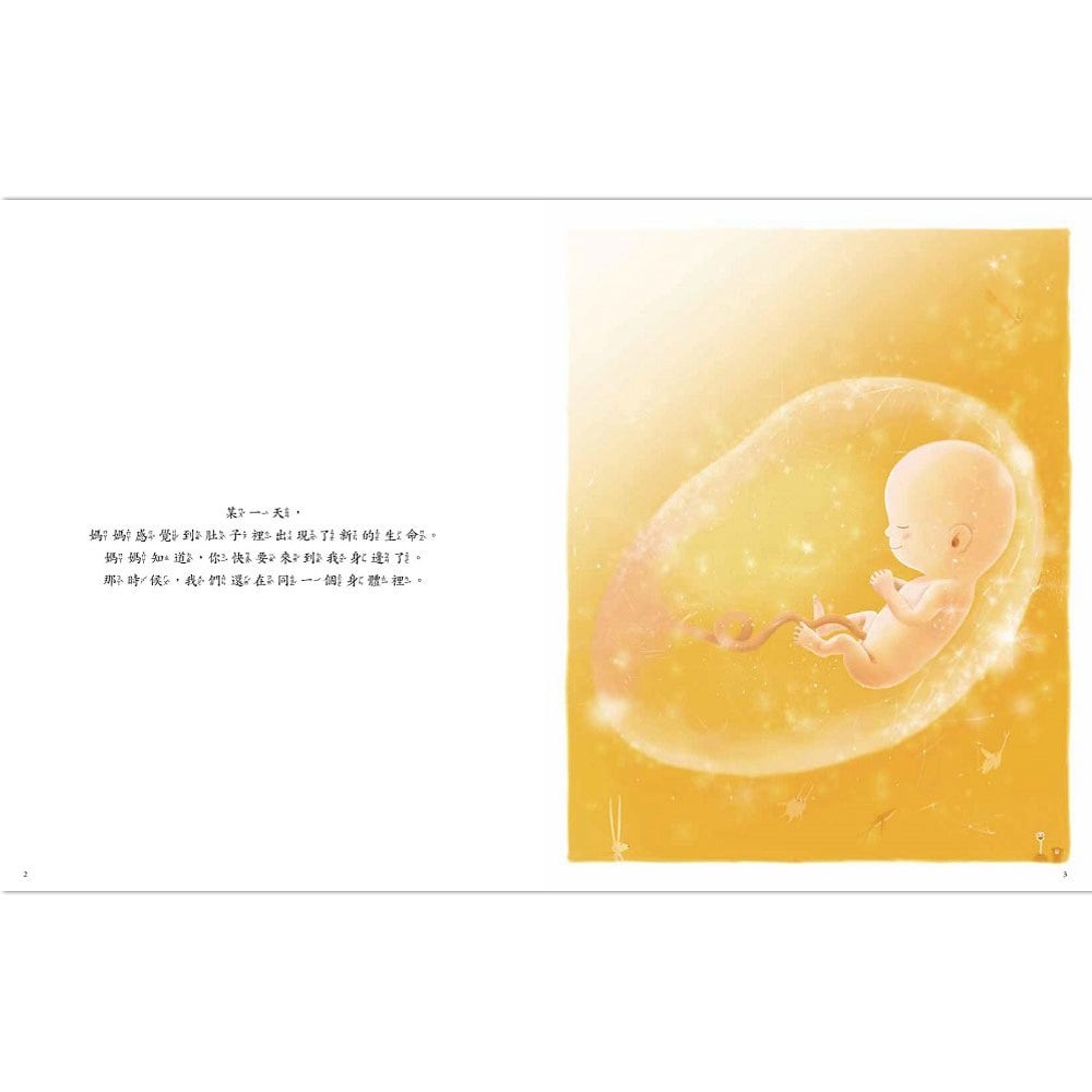 小寶貝，當我遇見你