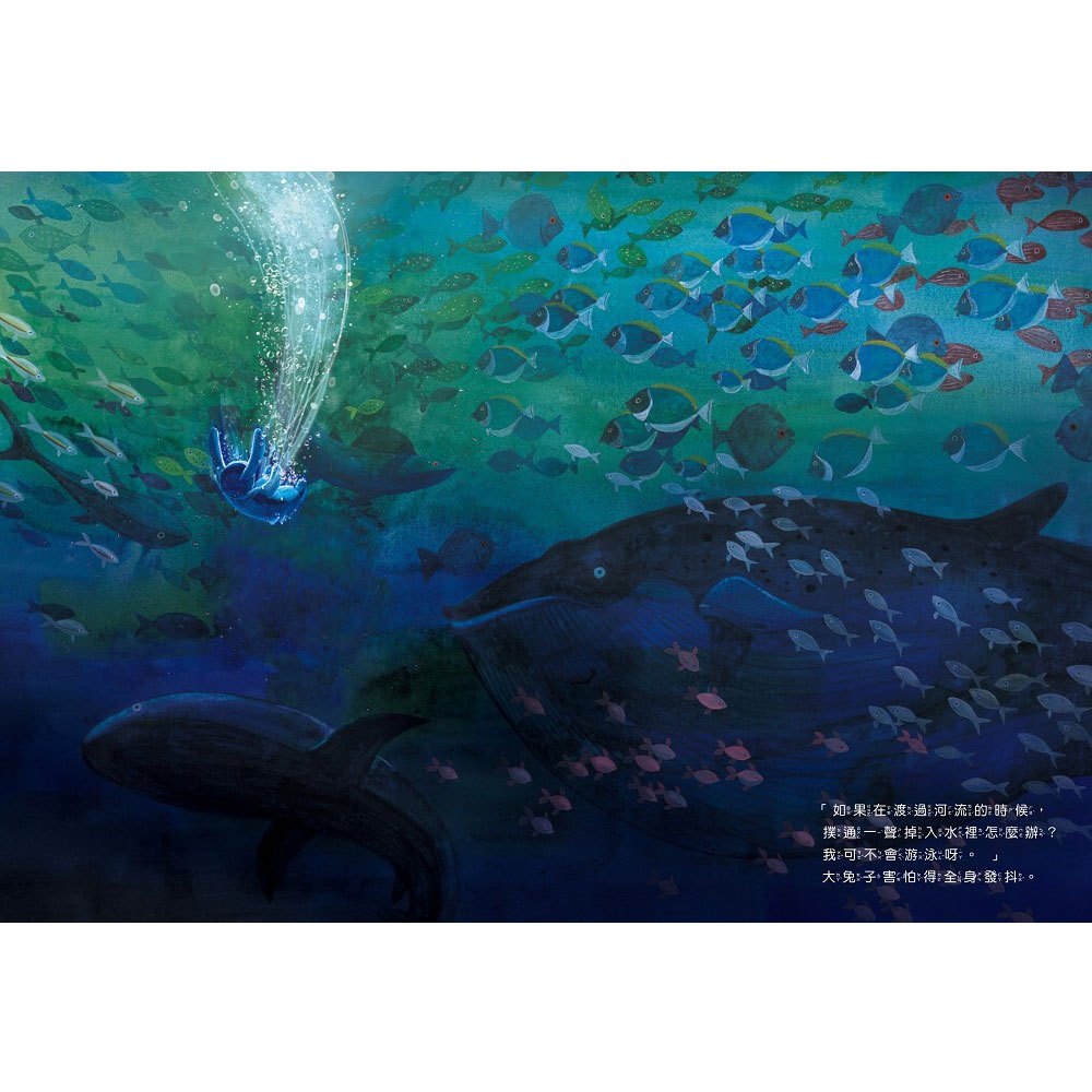 愛擔心的大兔子和勇敢的小兔子