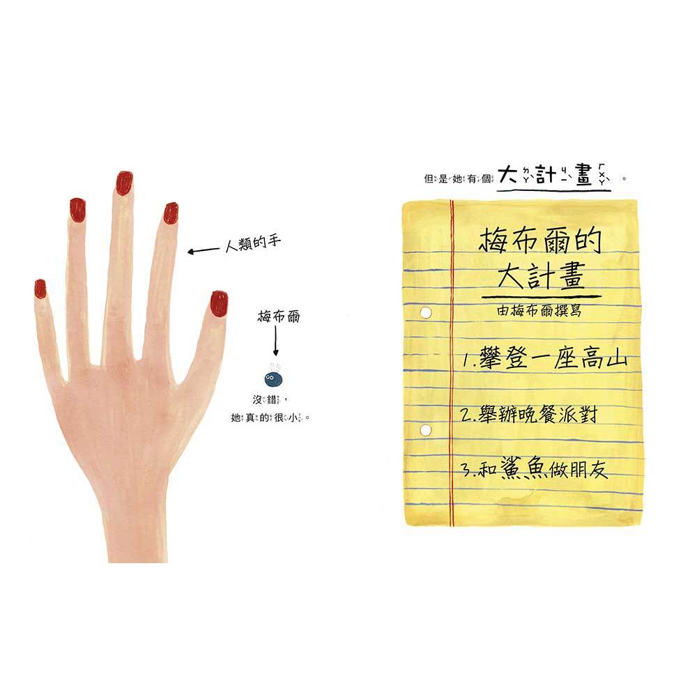 小梅布爾有個大計畫