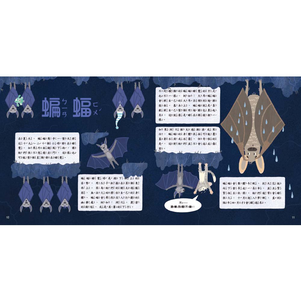 動物是怎麼睡覺的？