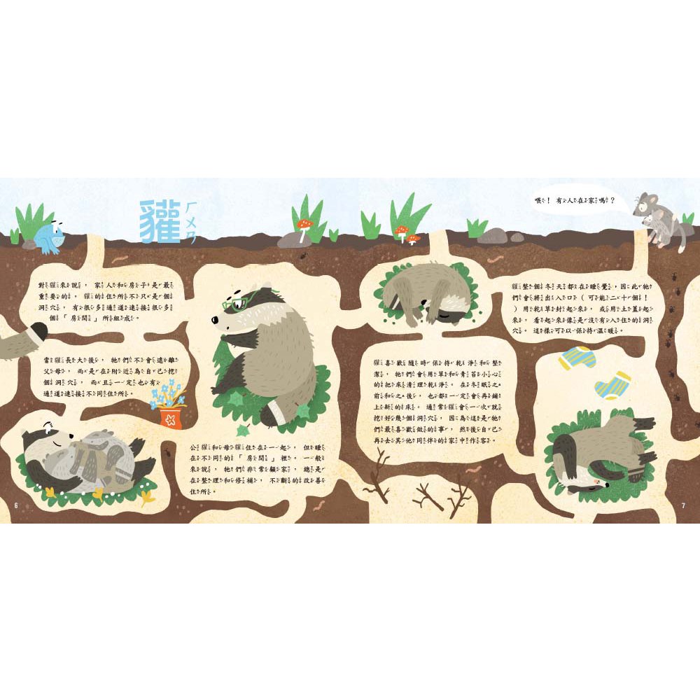 動物是怎麼睡覺的？