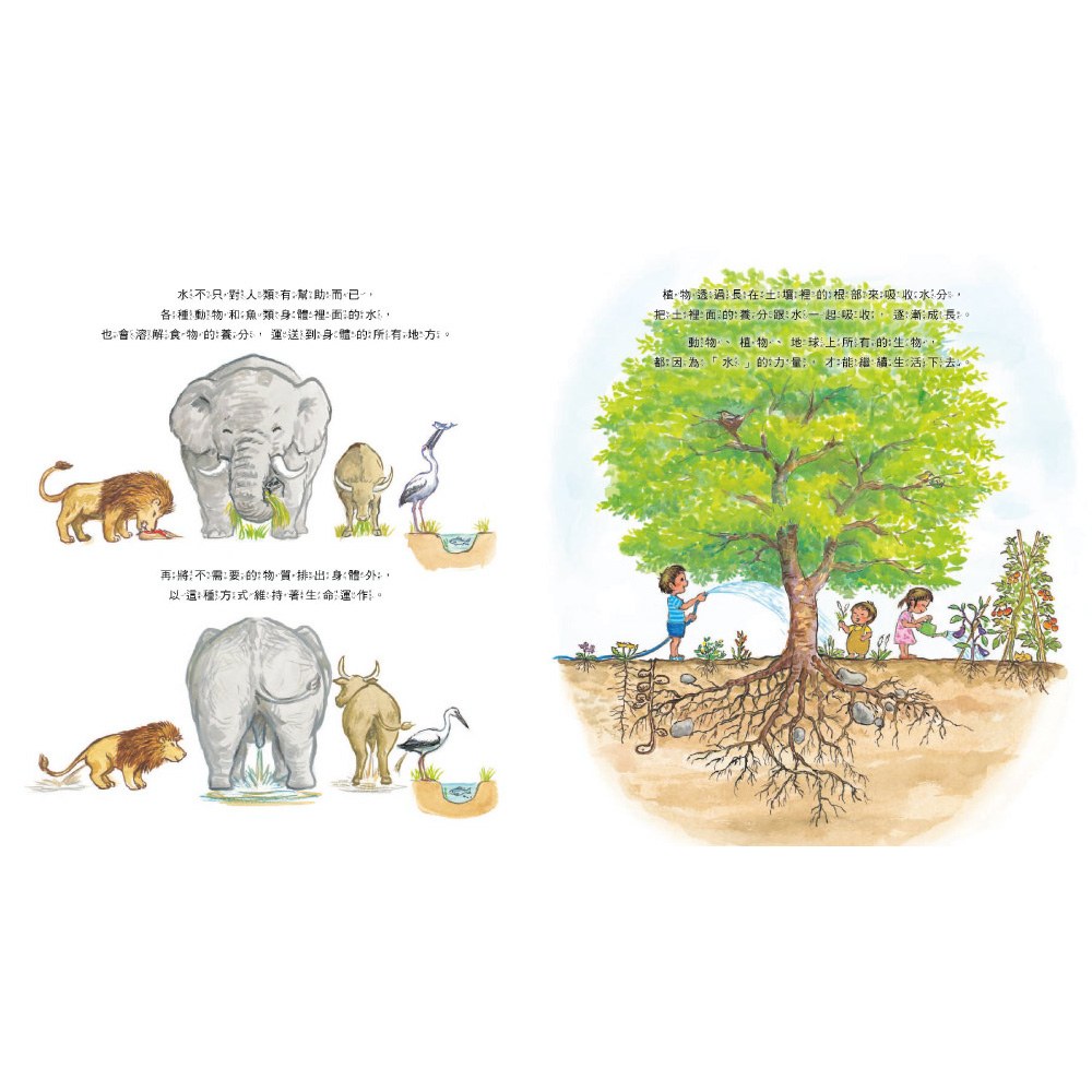 哇！「水」原來這麼重要！