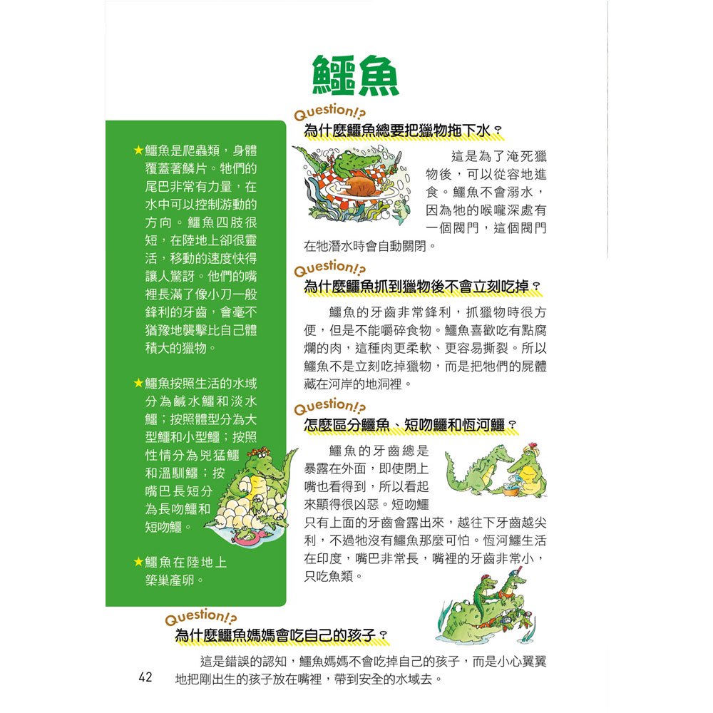 世界真有趣!探索奇妙的動物