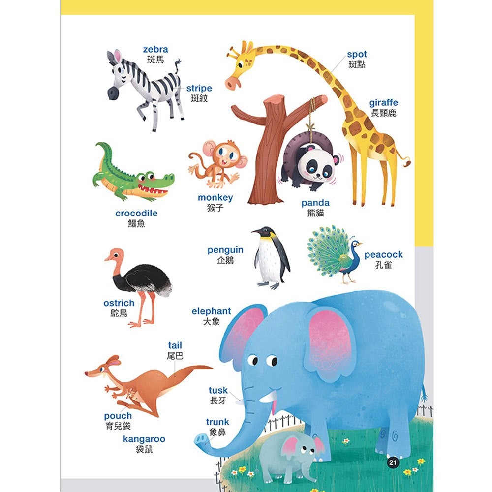 萊恩老獅看圖認英單學習套組（1書＋2練習本）