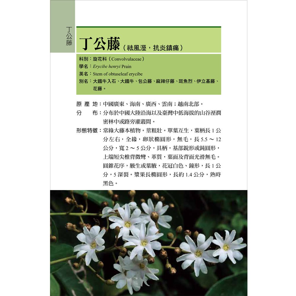 常見的臺灣青草藥-1