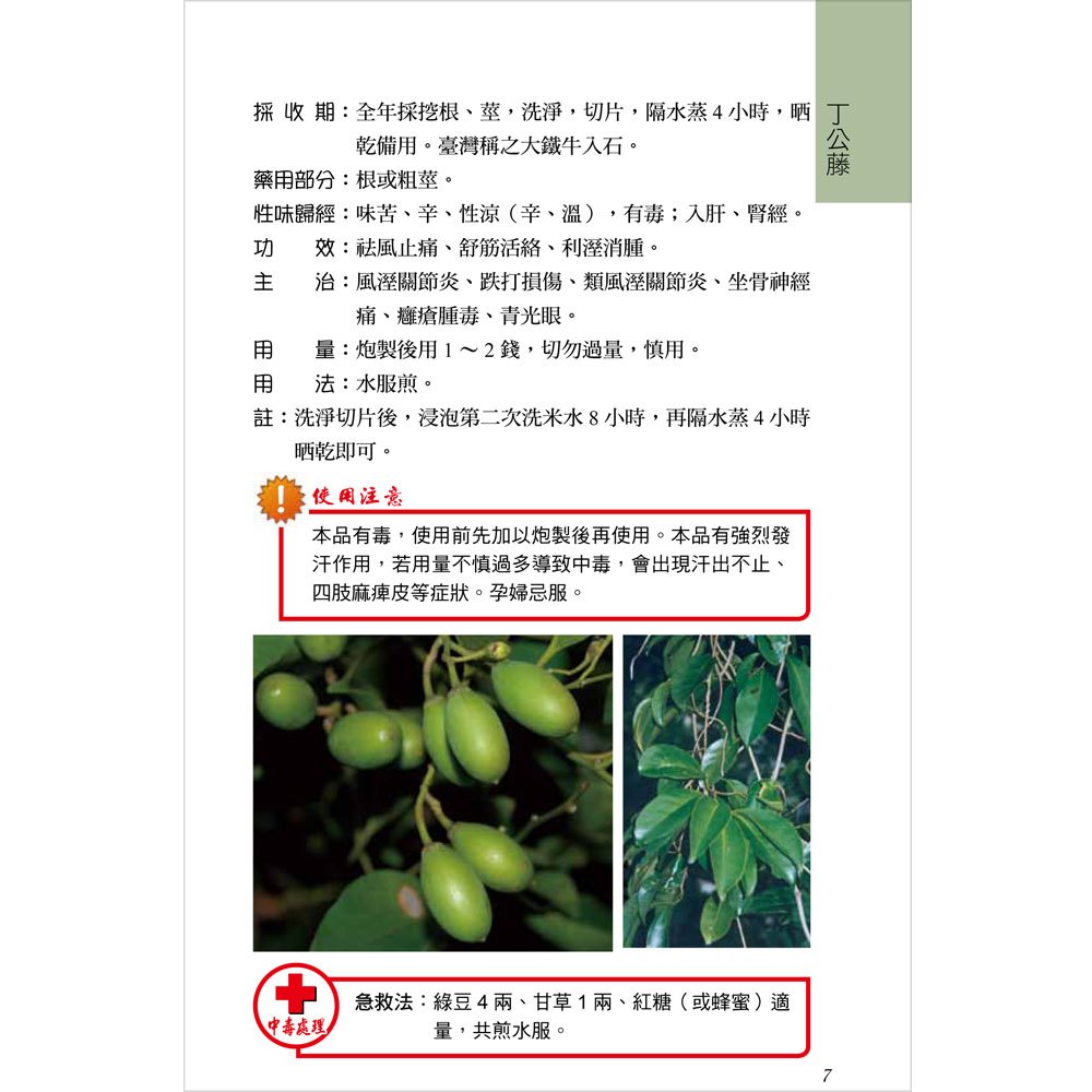 常見的臺灣青草藥-1