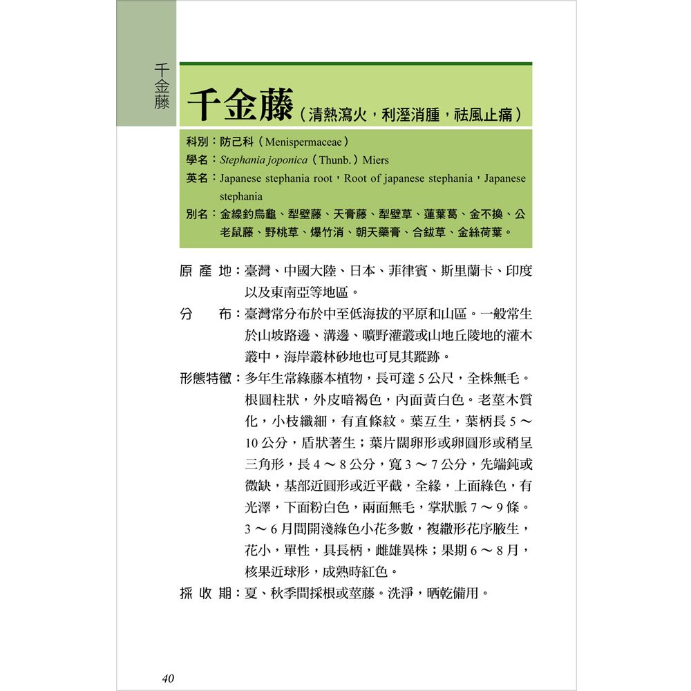 常見的臺灣青草藥-1