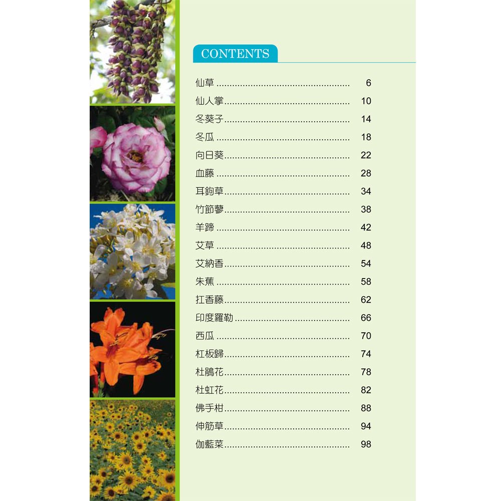 常見的臺灣青草藥-2