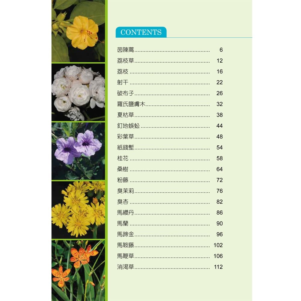 常見的臺灣青草藥-3