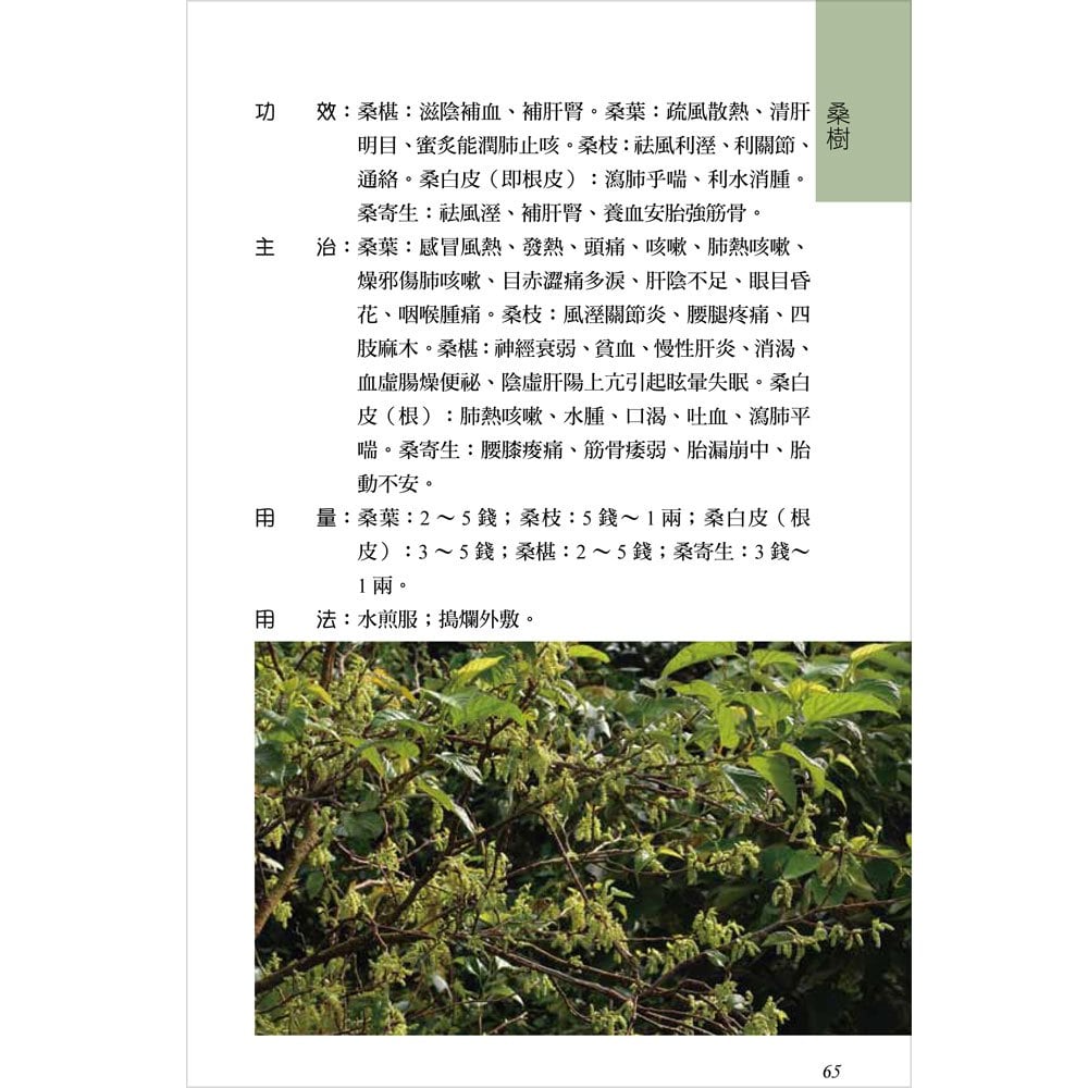 常見的臺灣青草藥-3