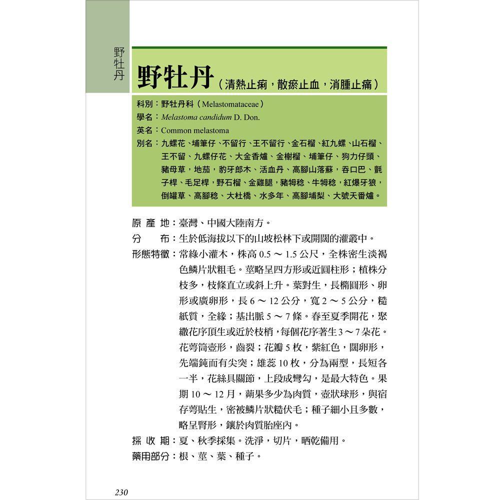 常見的臺灣青草藥-3