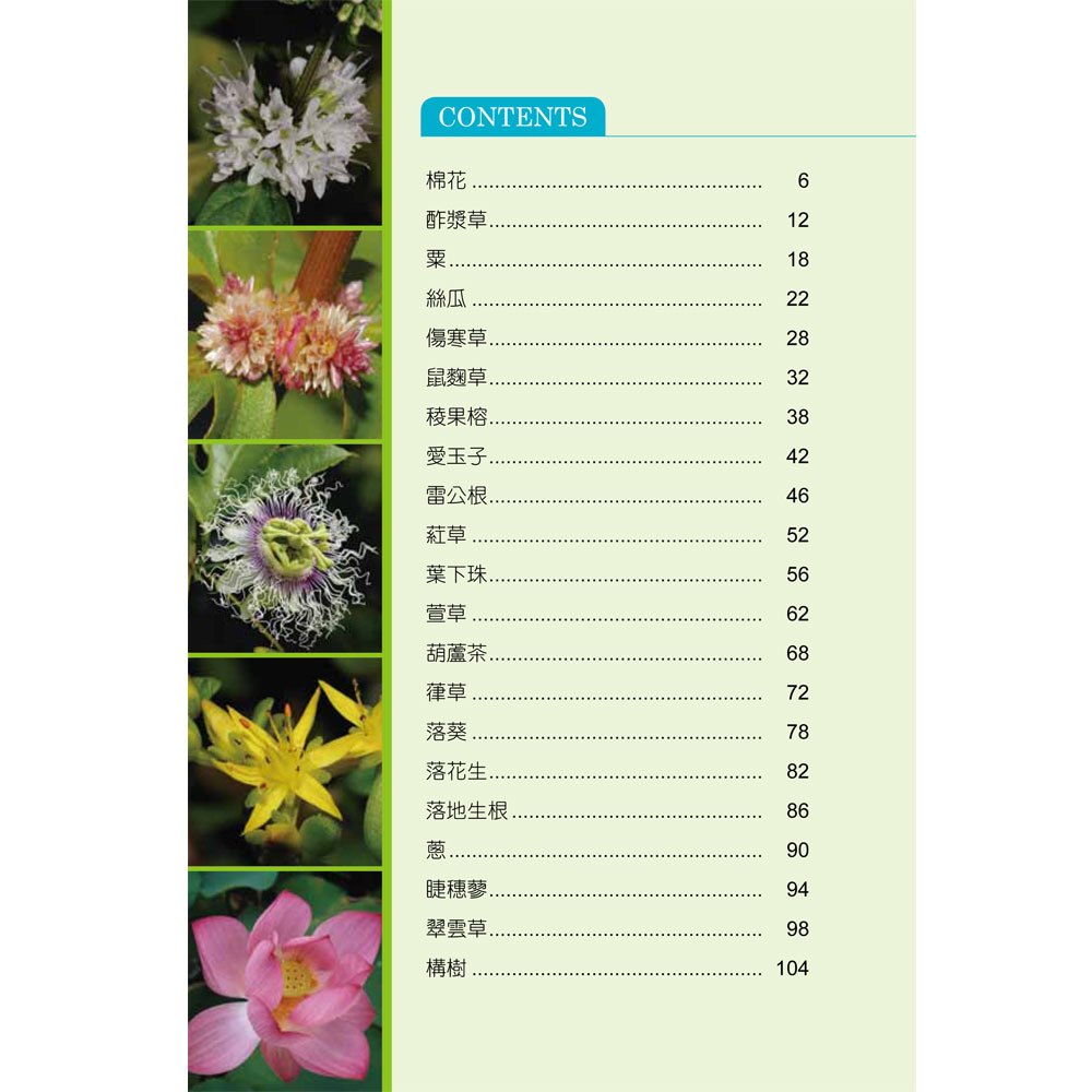 常見的臺灣青草藥-4