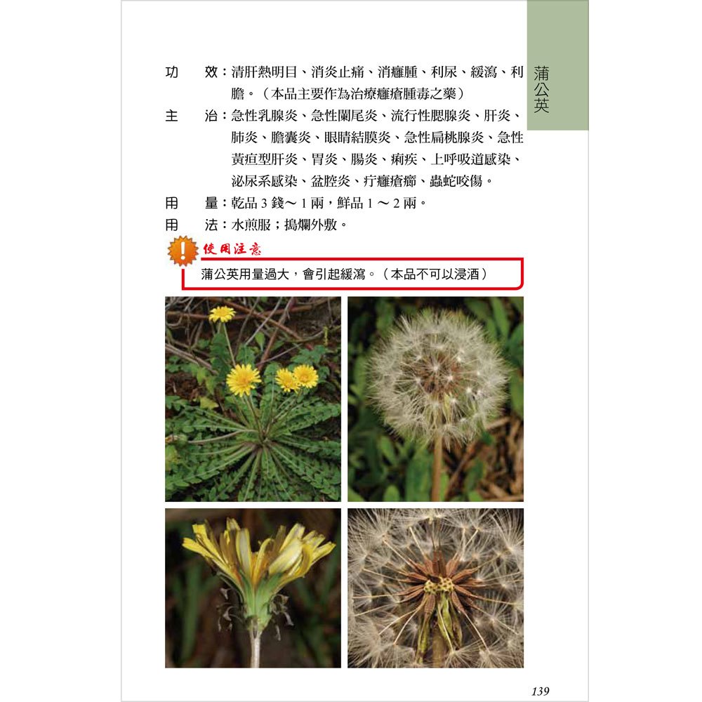 常見的臺灣青草藥-4