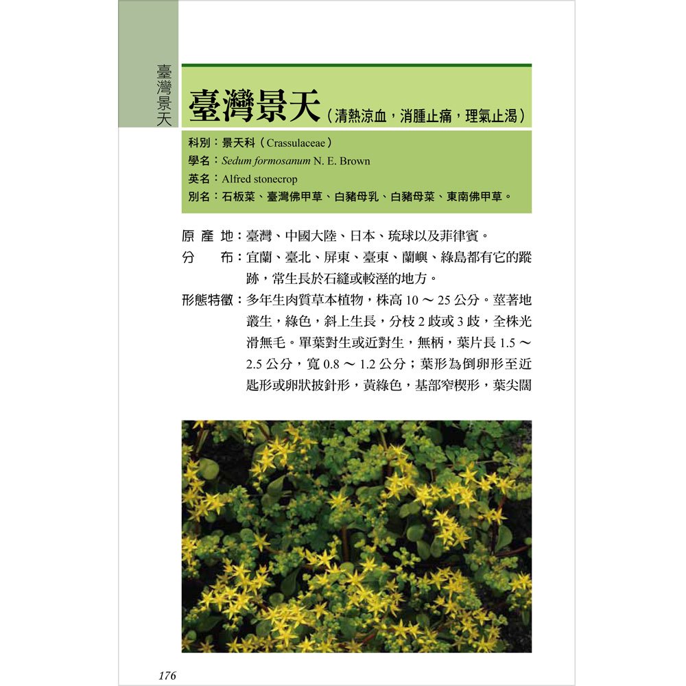 常見的臺灣青草藥-4