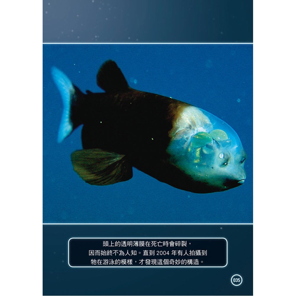 深海生物大百科