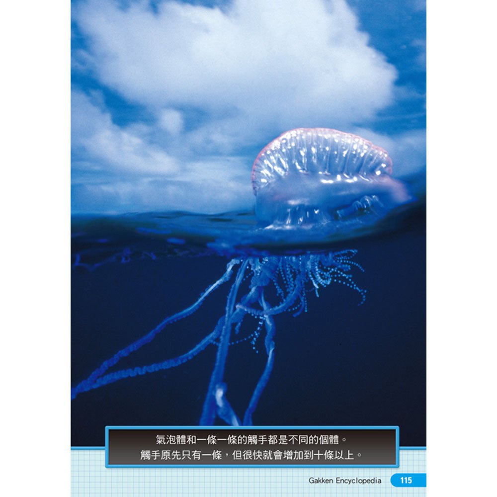 危險生物大百科