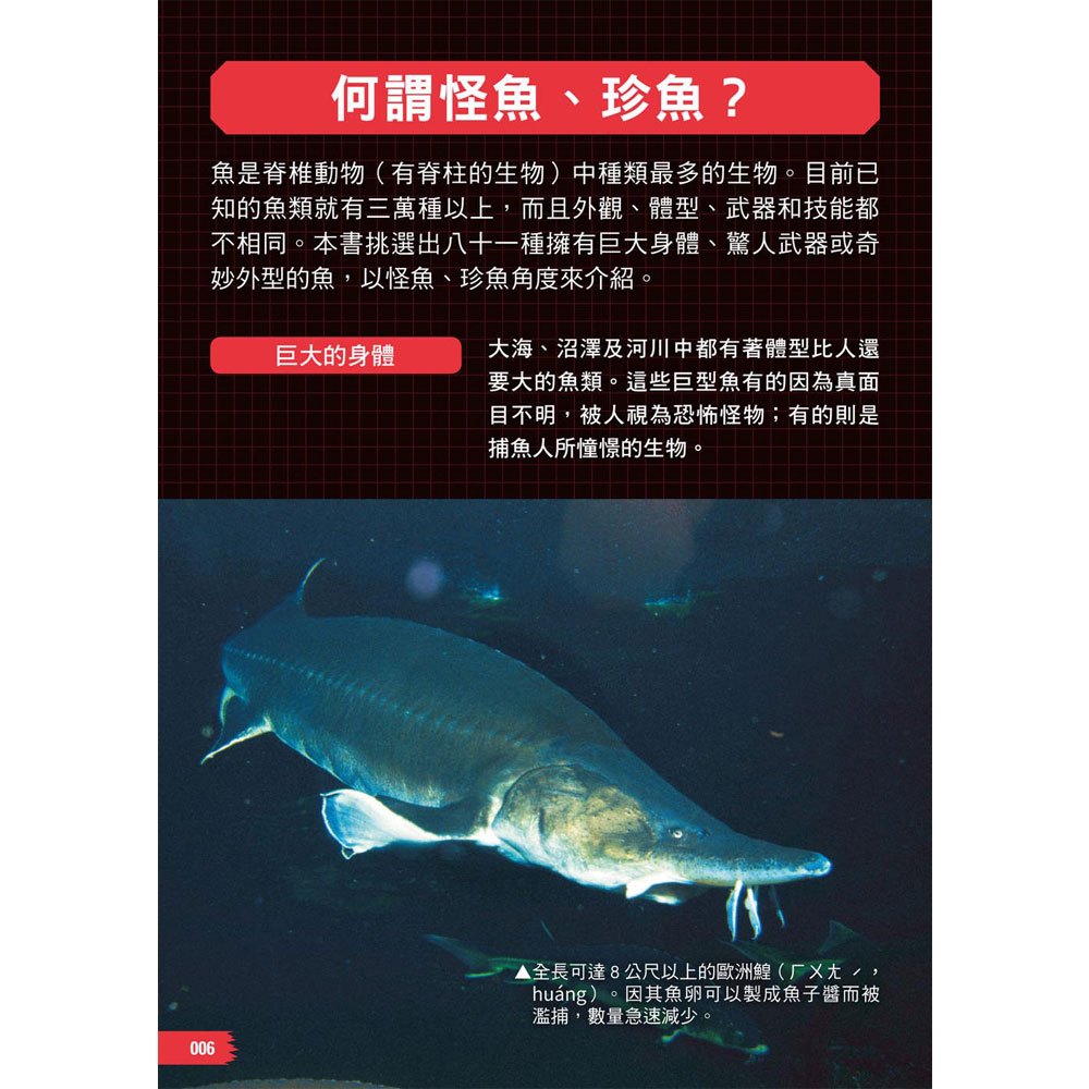 怪魚珍魚大百科