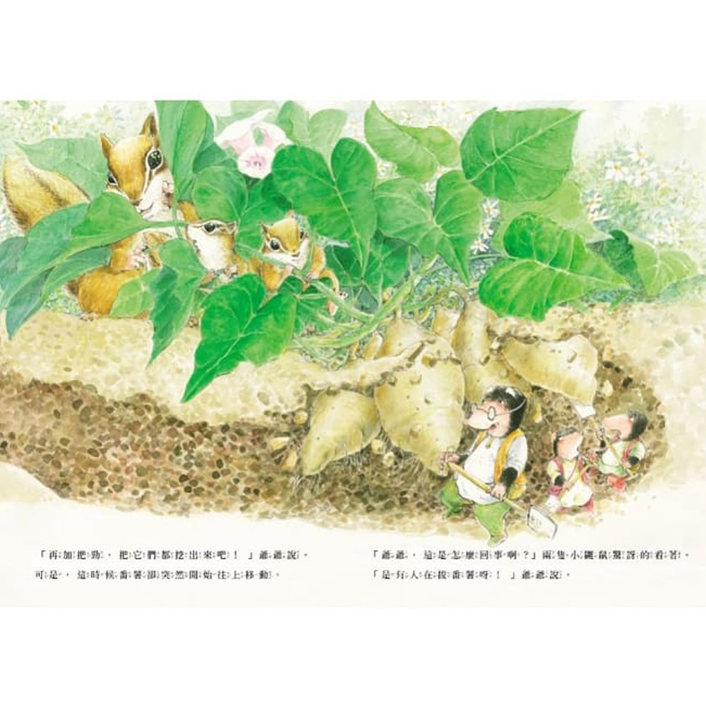 三隻小鼴鼠:一起烤番薯