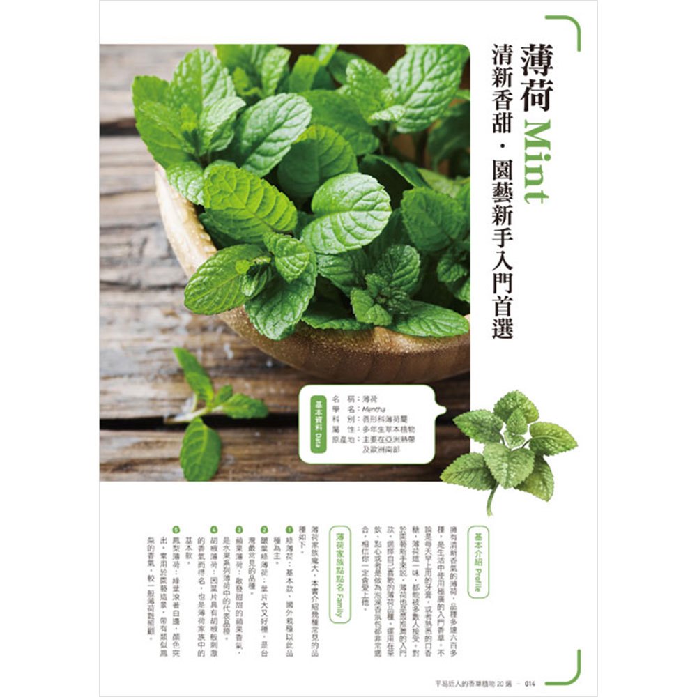 自種香草應用超入門