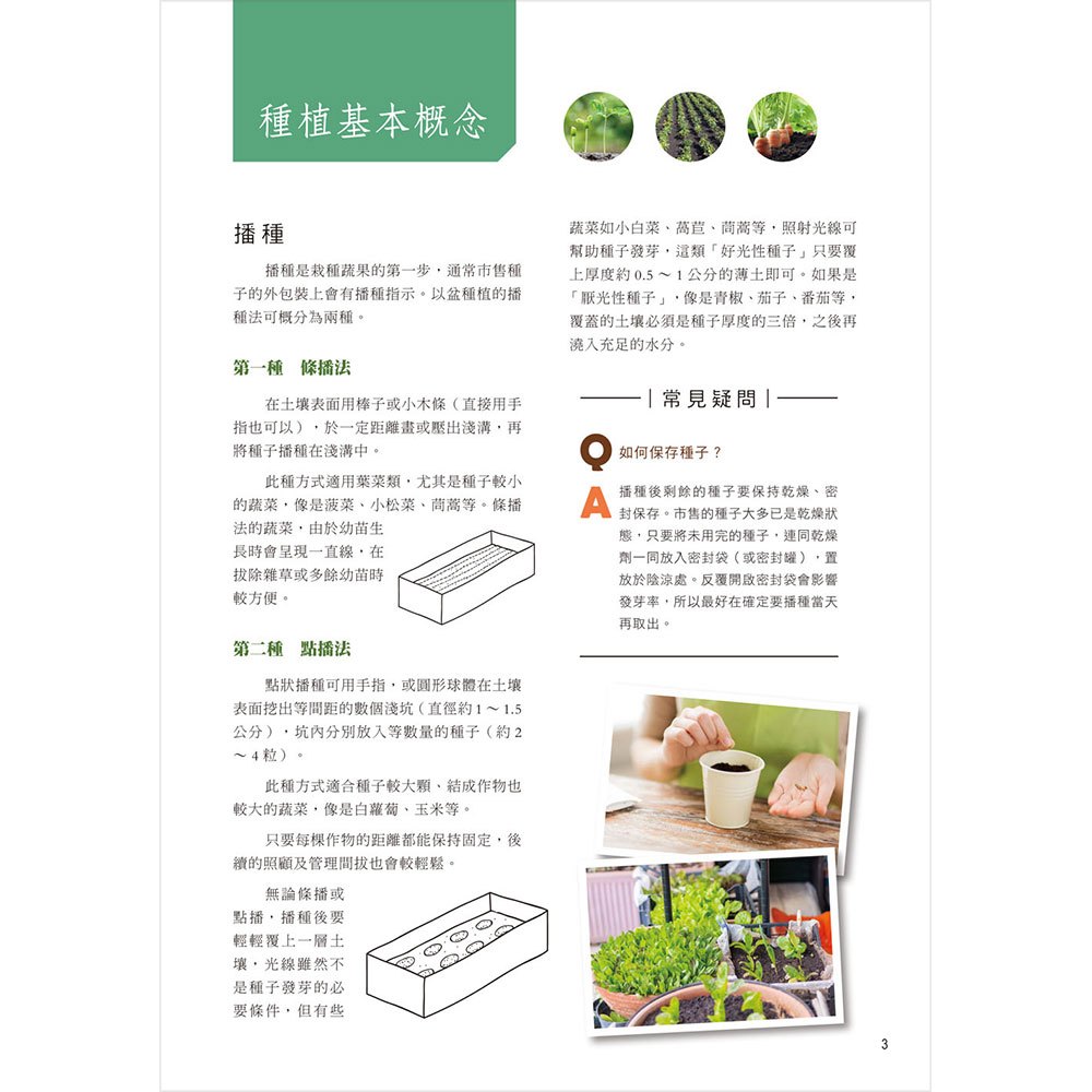 60公分果菜園