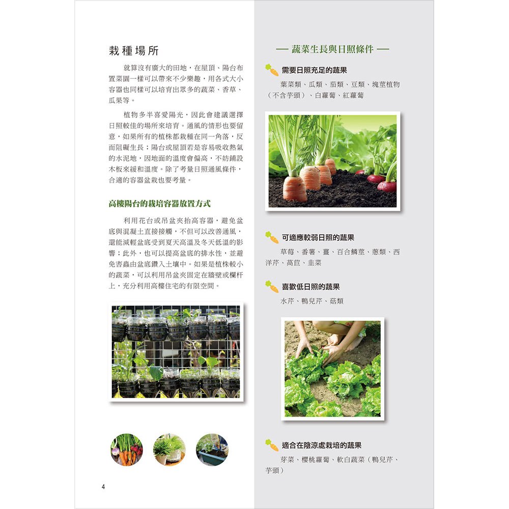 60公分果菜園