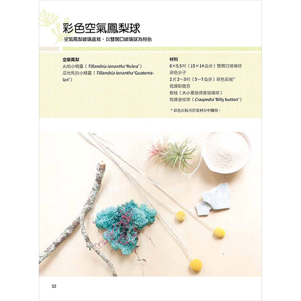 個性風綠植星球