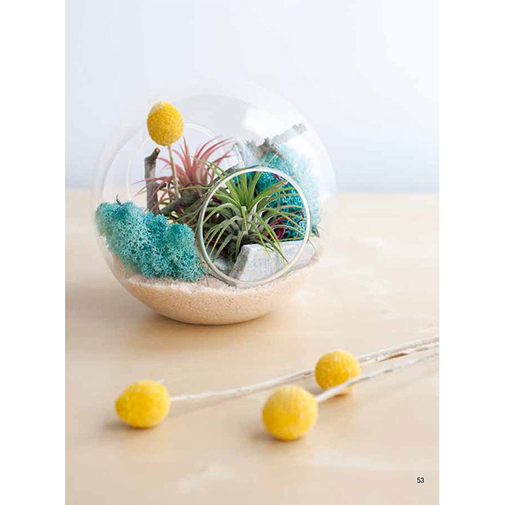 個性風綠植星球