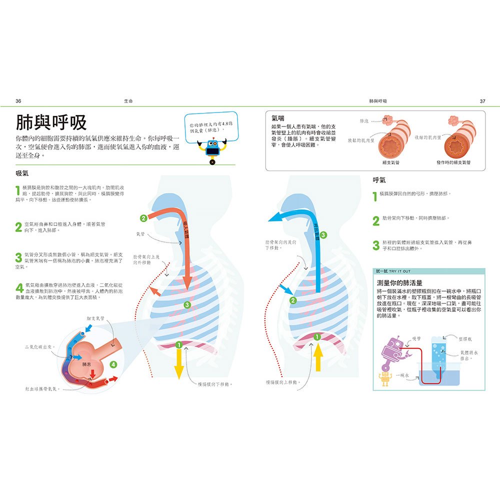圖解自然:科學工程大百科