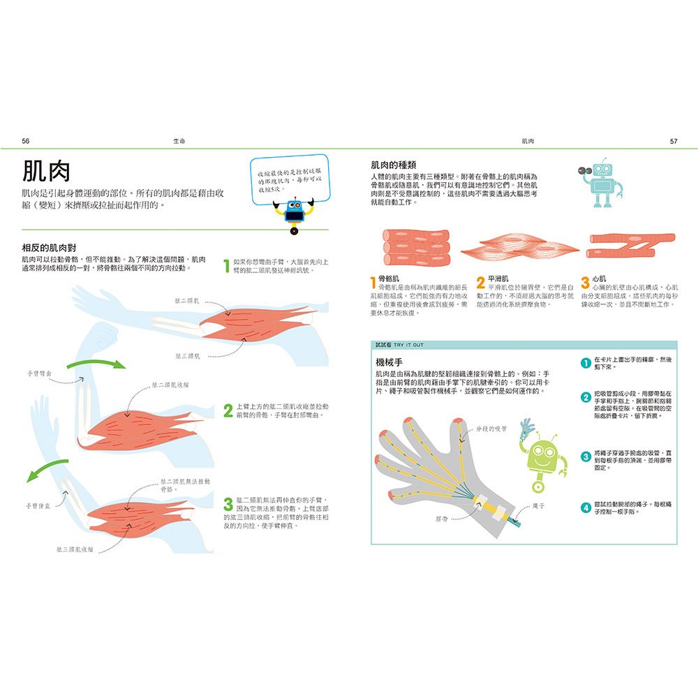 圖解自然:科學工程大百科