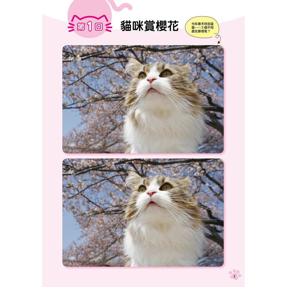 眼力腦力大挑戰:貓咪的找不同