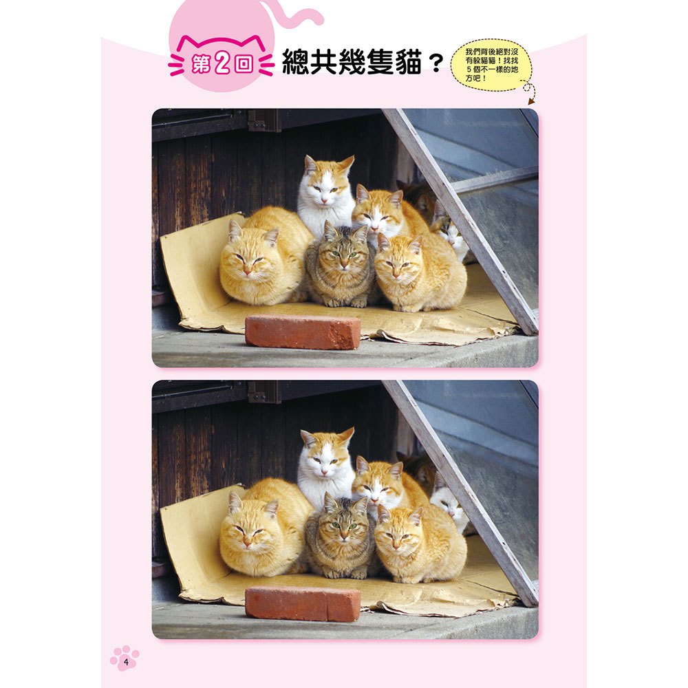 眼力腦力大挑戰:貓咪的找不同