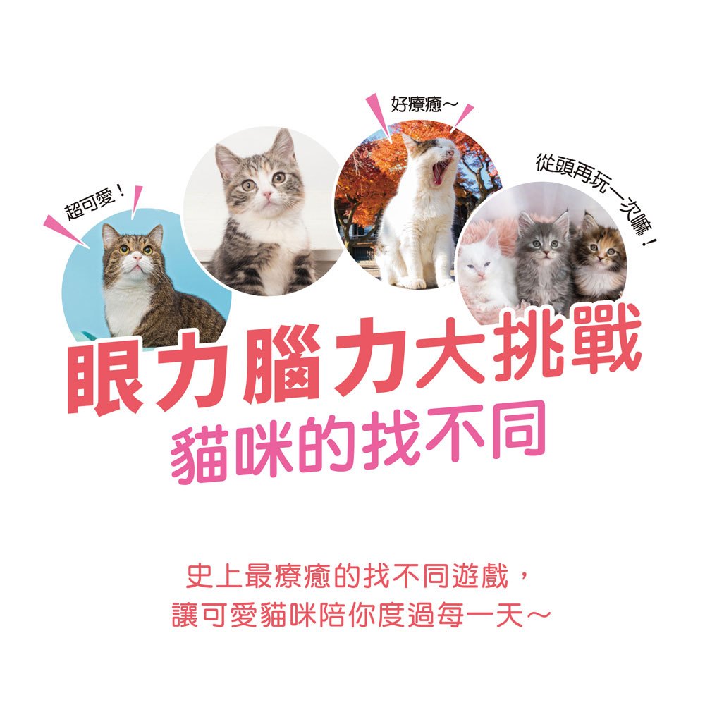 眼力腦力大挑戰:貓咪的找不同