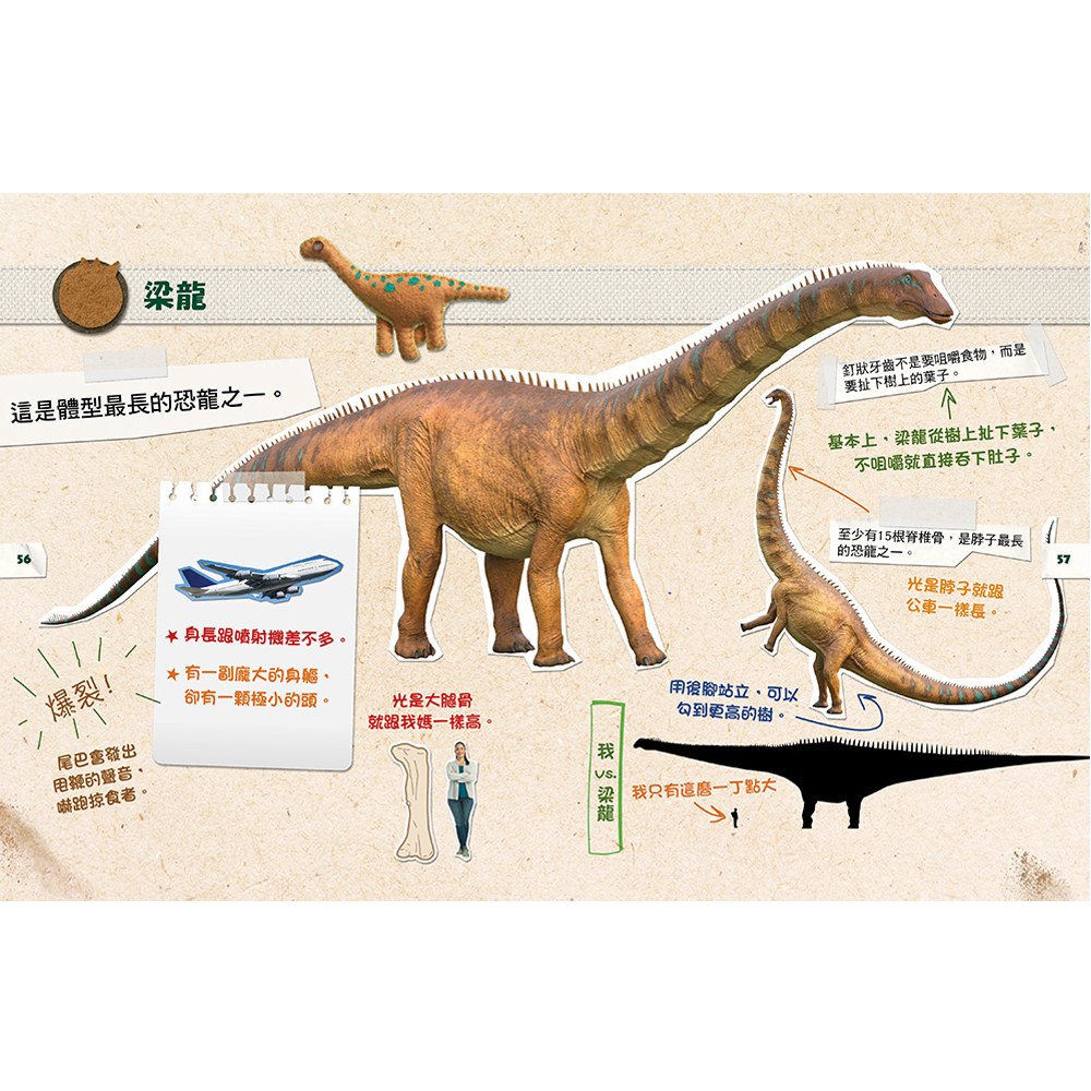 DINO DANA小恐龍家的實地考察指南