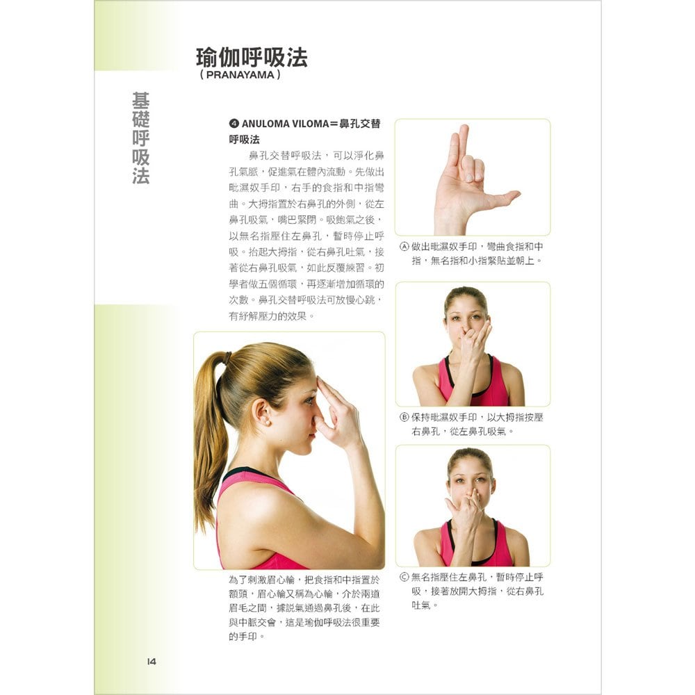 伸展關鍵肌群解剖瑜伽