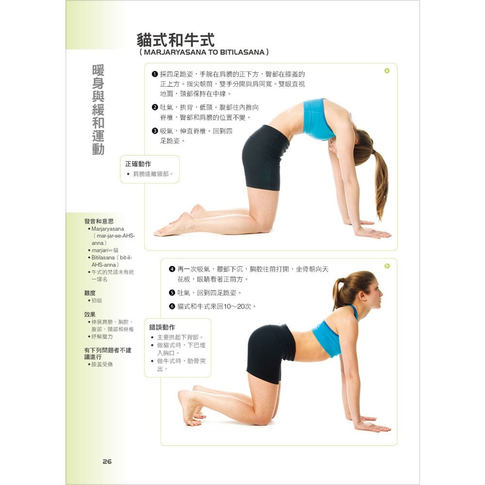 伸展關鍵肌群解剖瑜伽