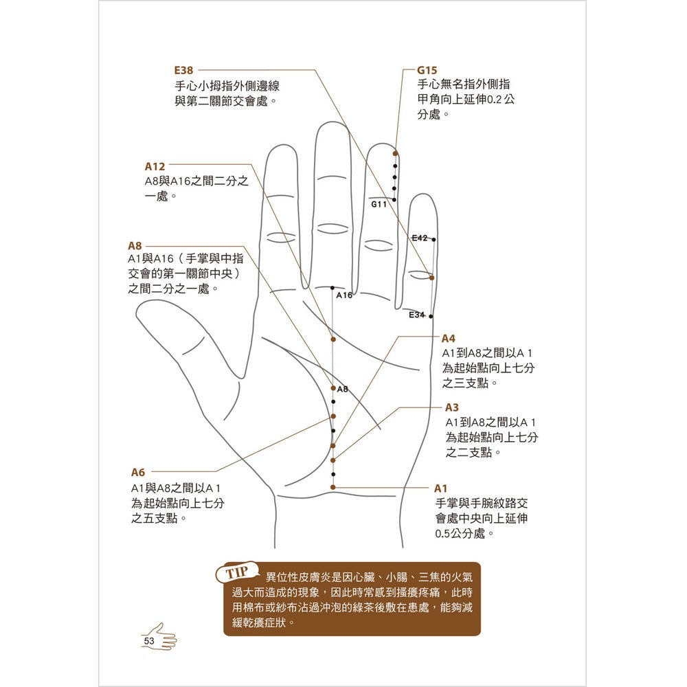 全圖解經絡穴道對症手針