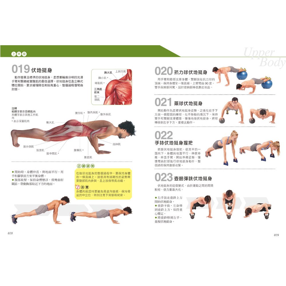 科學健身解剖:501式肌肉力量訓練