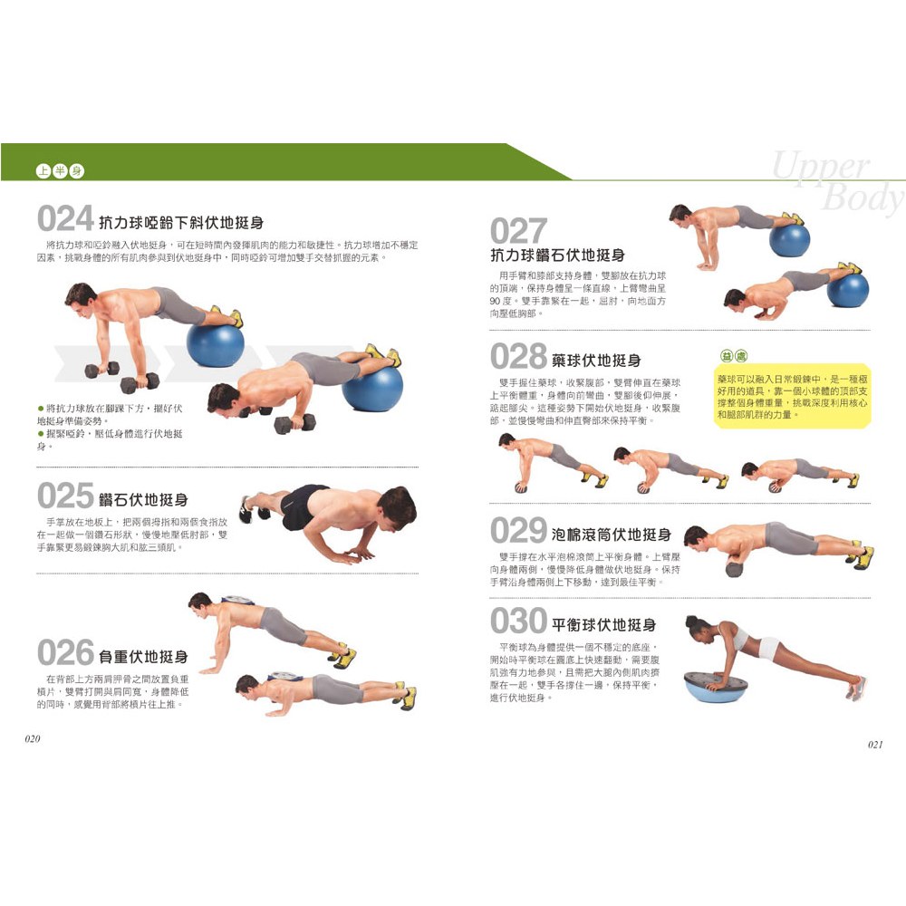 科學健身解剖:501式肌肉力量訓練