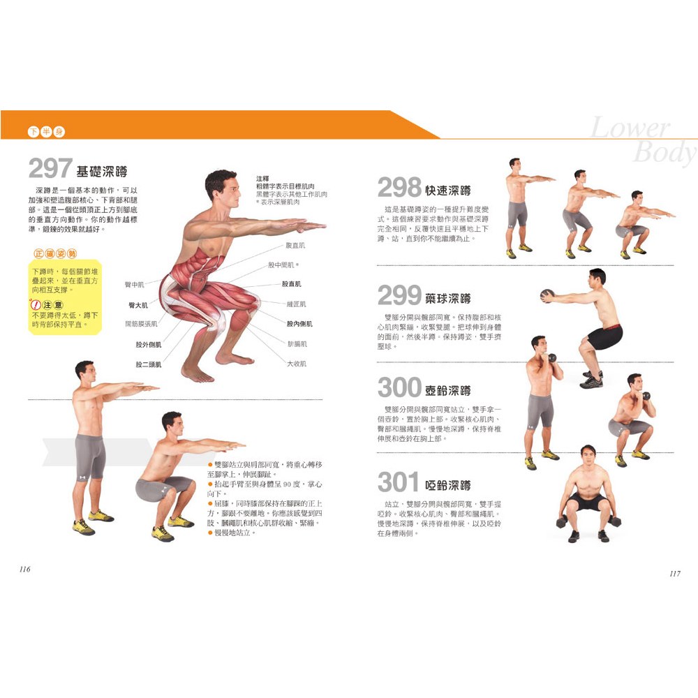 科學健身解剖:501式肌肉力量訓練