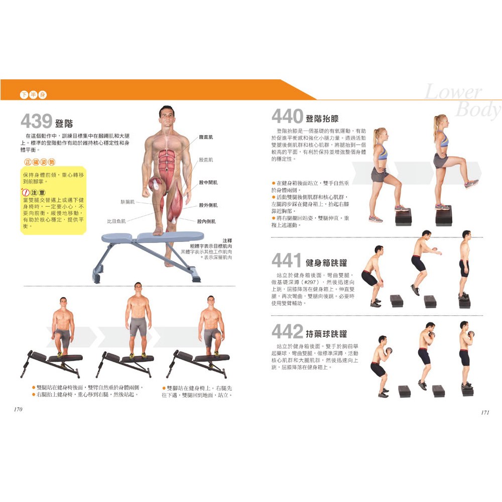 科學健身解剖:501式肌肉力量訓練