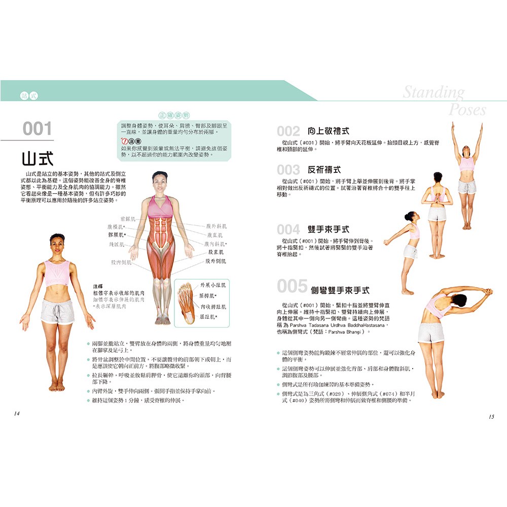科學健身解剖：501式瑜伽伸展訓練