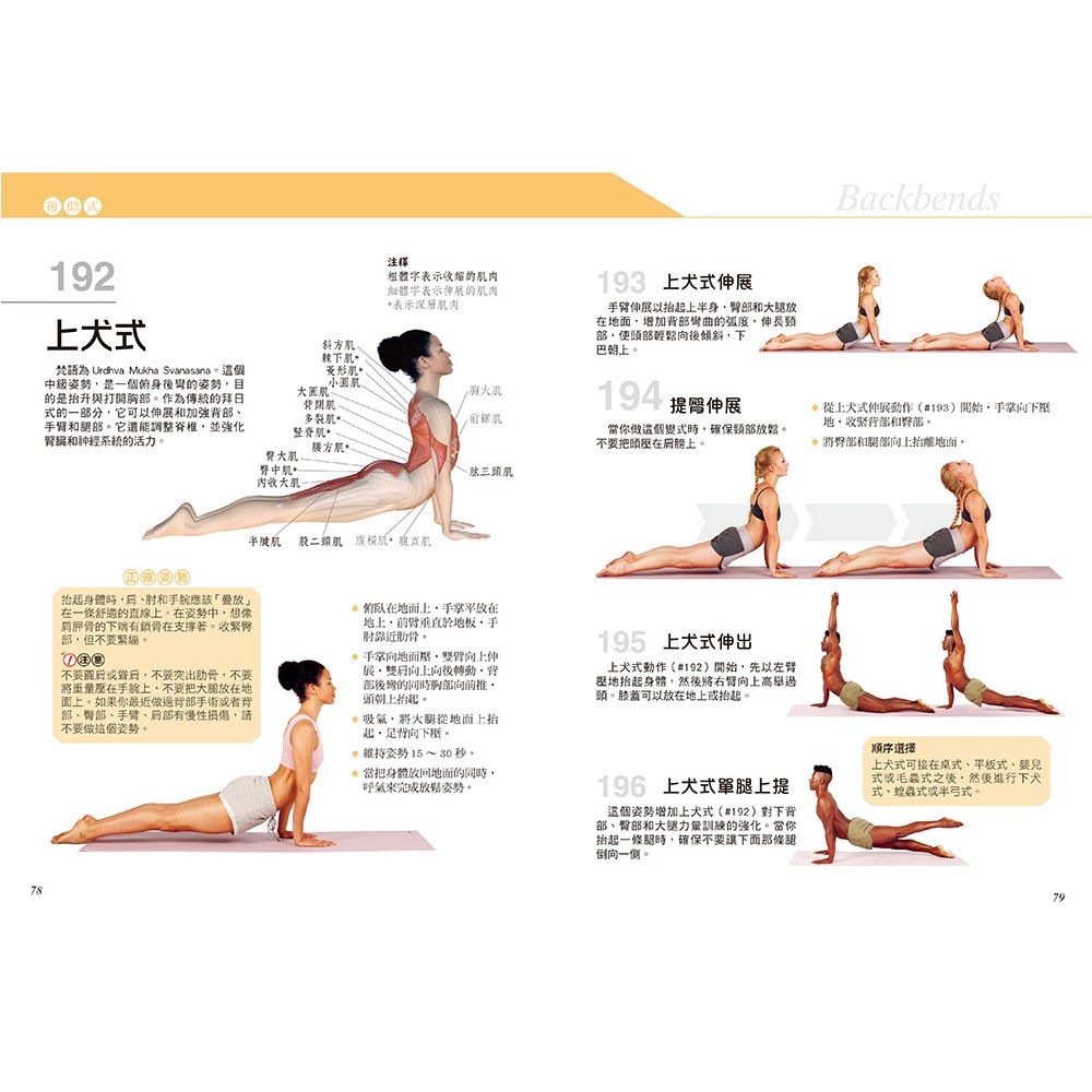 科學健身解剖：501式瑜伽伸展訓練