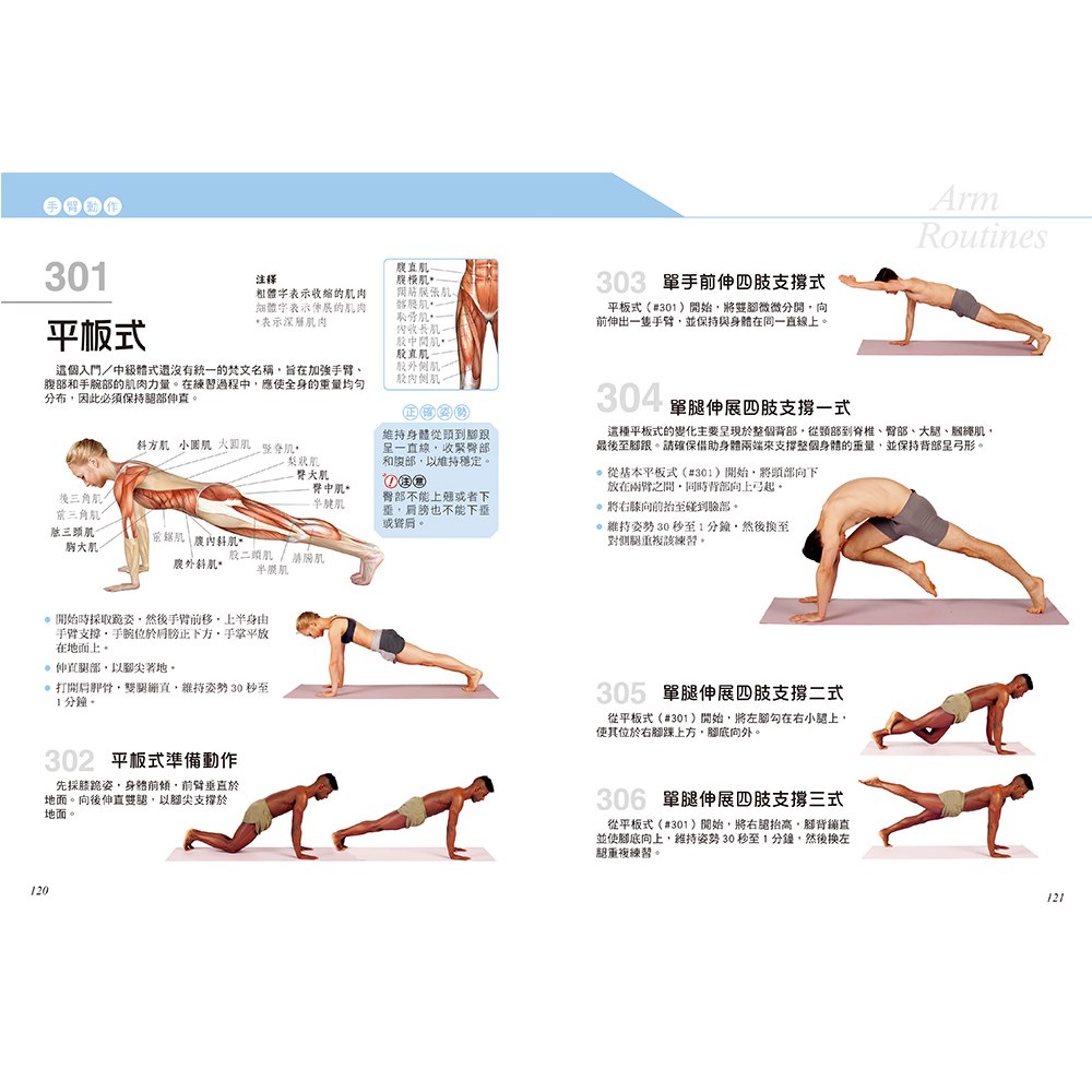 科學健身解剖：501式瑜伽伸展訓練