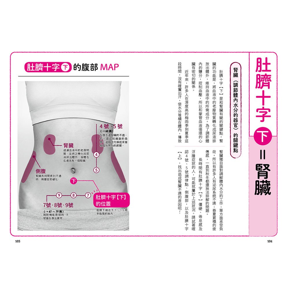 圖解腹部十二調律點