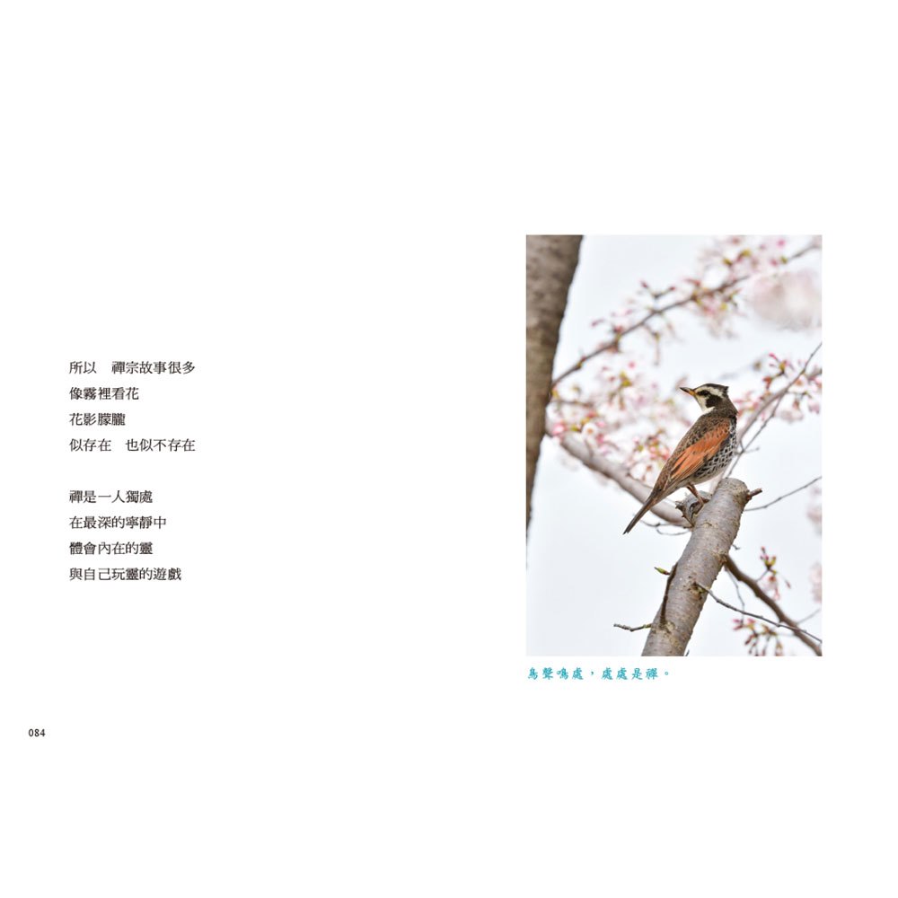 心不著墨,隨便想想