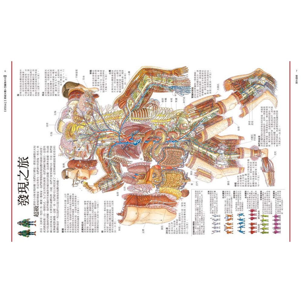 DK不可思議的人體大探險【3D透視版】