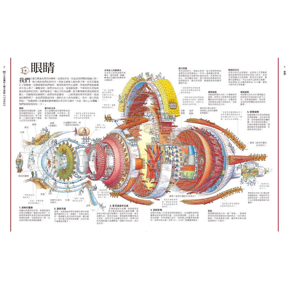 DK不可思議的人體大探險【3D透視版】