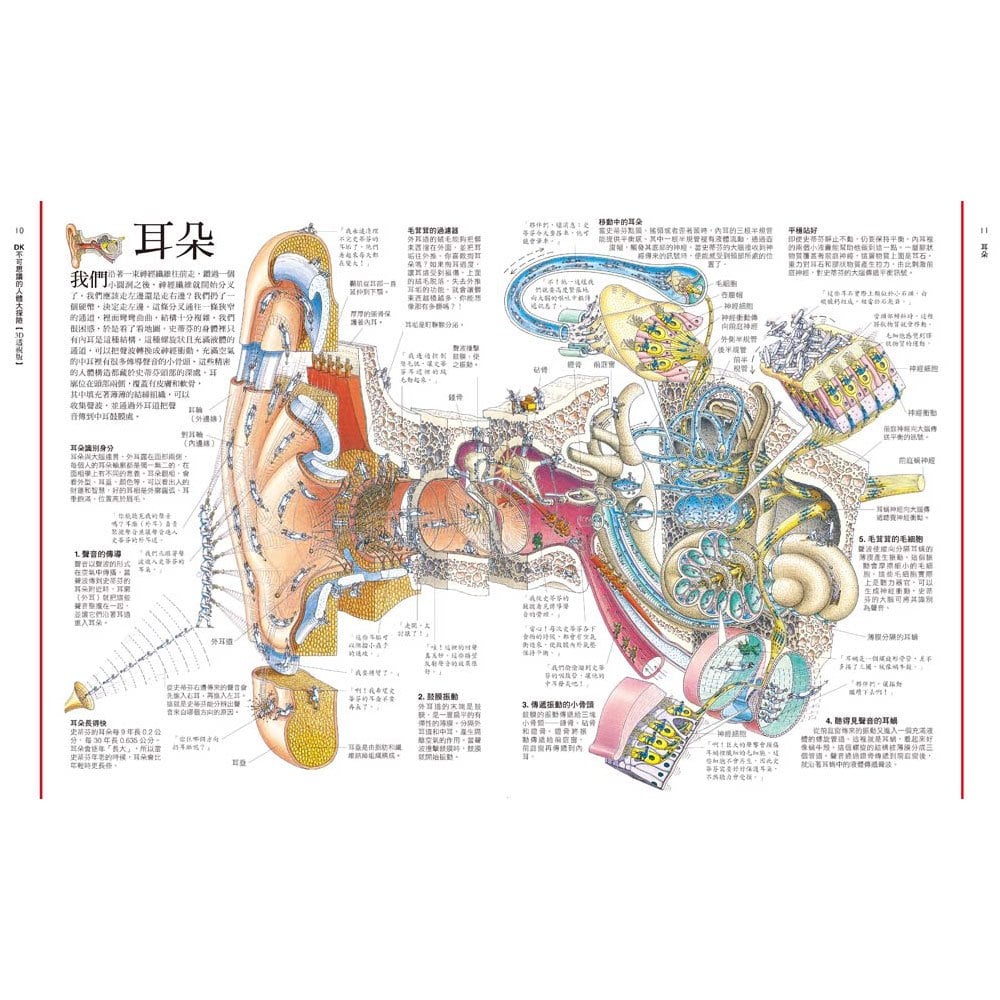 DK不可思議的人體大探險【3D透視版】
