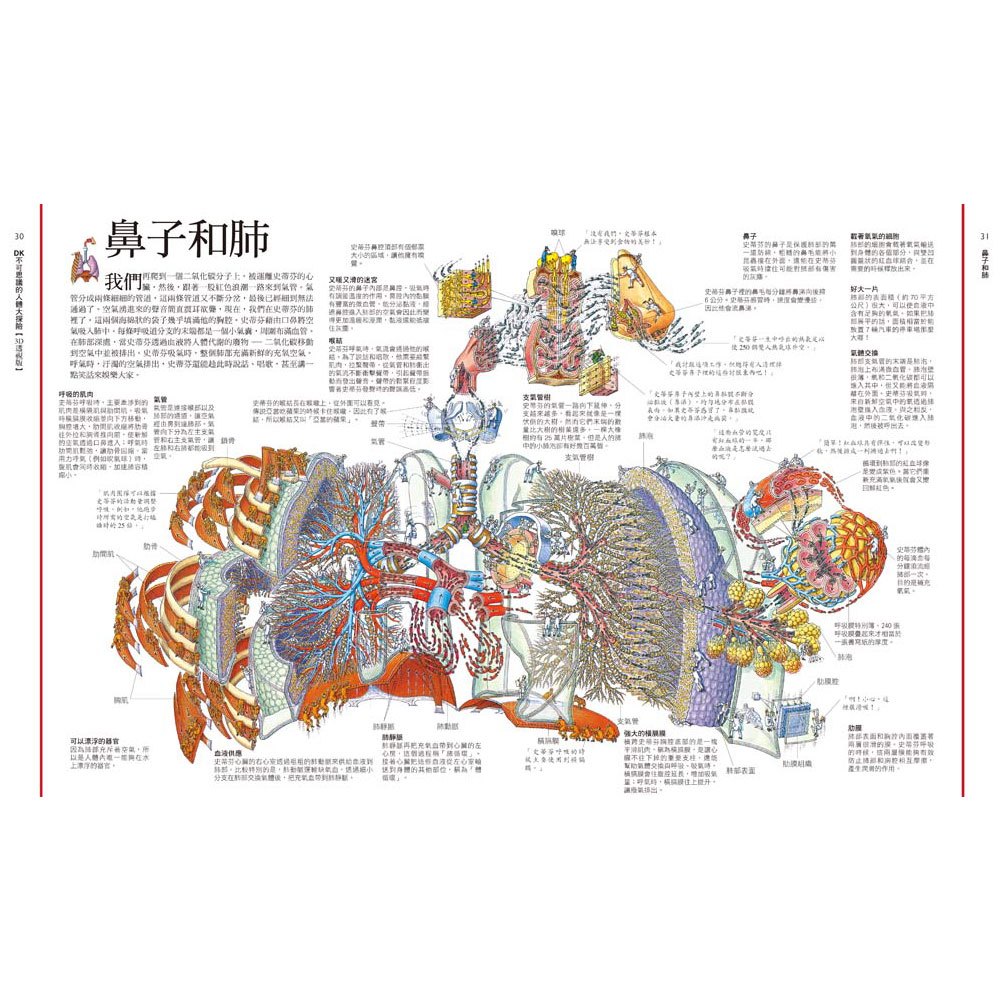 DK不可思議的人體大探險【3D透視版】