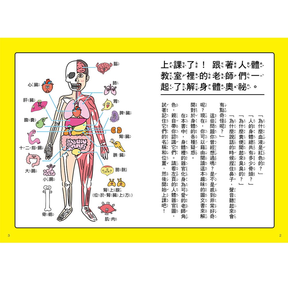 人體先生圖鑑【器官小老師帶你認識身體奧祕】